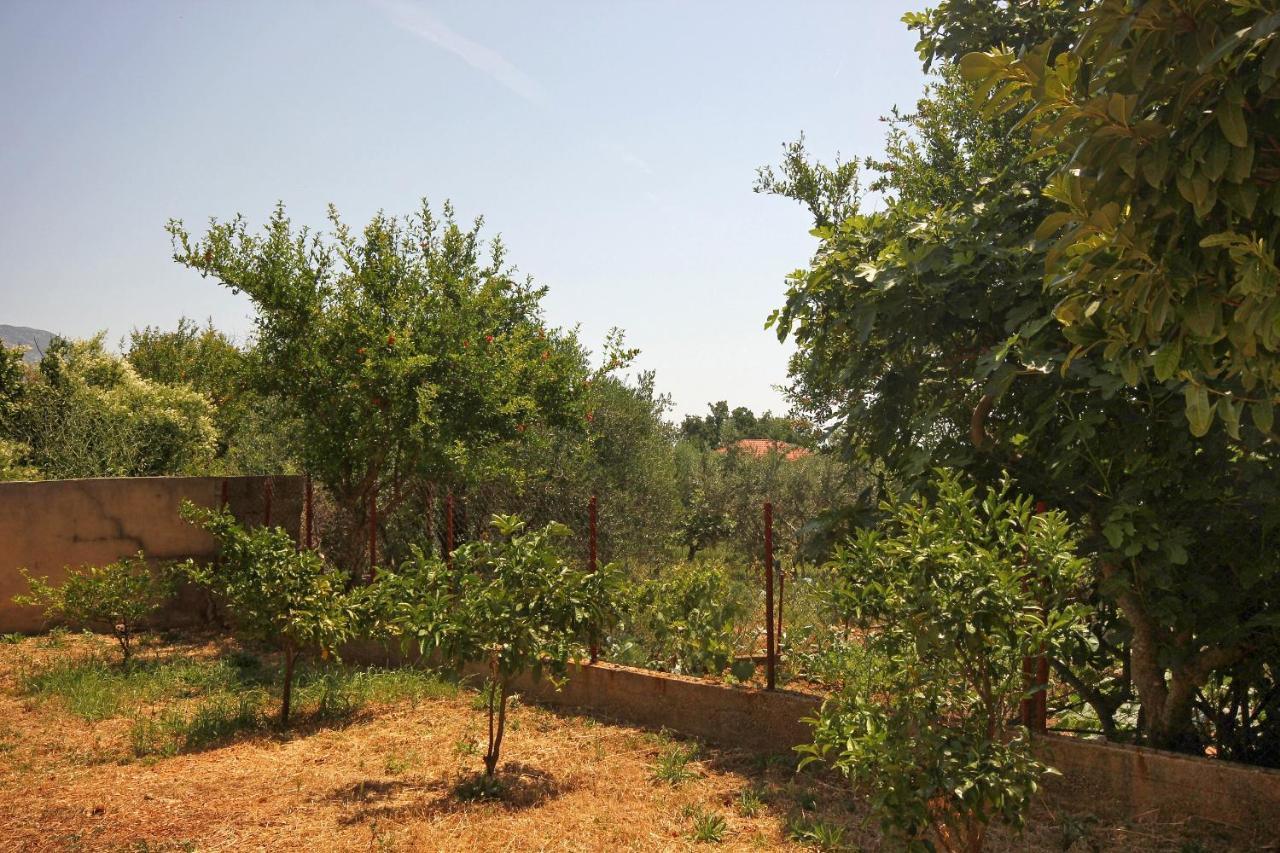 Apartments And Rooms With Parking Space Orebic, Peljesac - 10191 Екстериор снимка